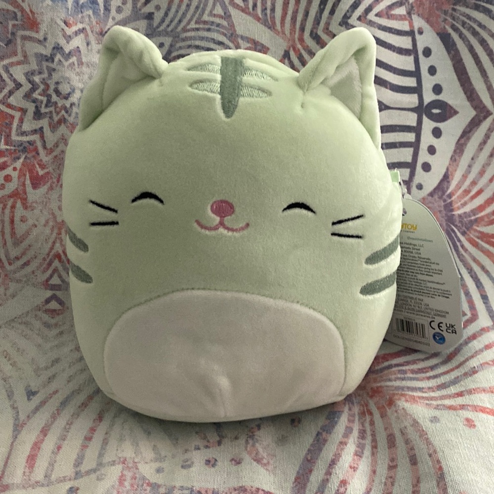 Squishmallows chase the cat